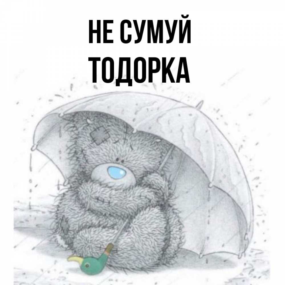 Открытка на каждый день з підписом, Тодорка Не сумуй спасите мишку Тедди Прикольна листівка з побажанням онлайн скачати безкоштовно 