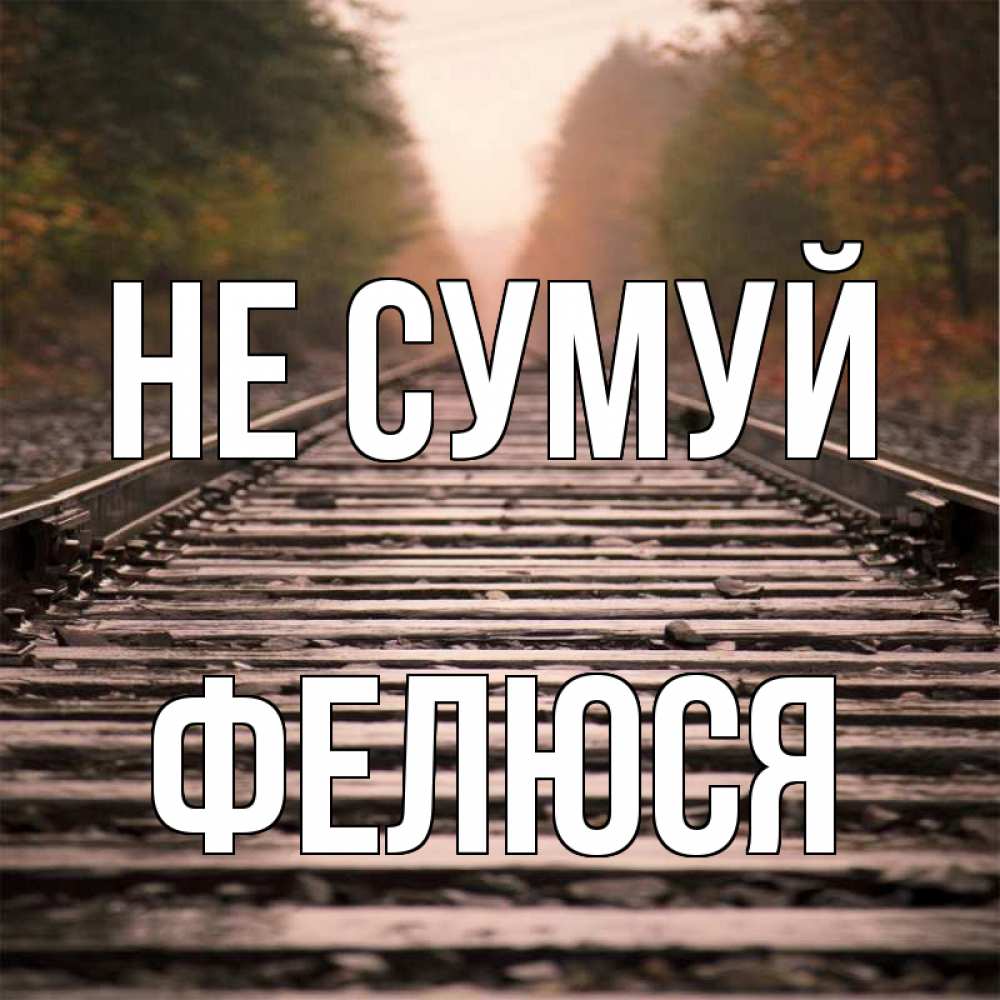 Открытка на каждый день з підписом, Фелюся Не сумуй лес и железная дорога Прикольна листівка з побажанням онлайн скачати безкоштовно 