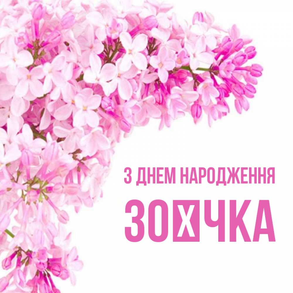 Открытка на каждый день з підписом, Зоєчка З Днем народження Сирень на белом фоне Прикольна листівка з побажанням онлайн скачати безкоштовно 