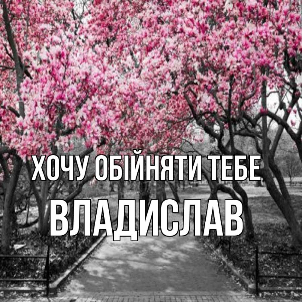 Открытка на каждый день з підписом, Владислав Хочу обійняти тебе обработанное фото Прикольна листівка з побажанням онлайн скачати безкоштовно 