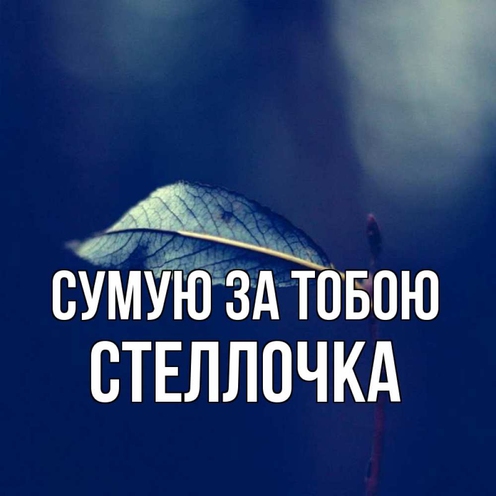 Открытка на каждый день з підписом, Стеллочка Сумую за тобою одна ветка 1 Прикольна листівка з побажанням онлайн скачати безкоштовно 