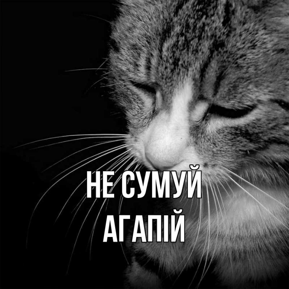 Открытка на каждый день з підписом, Агапій Не сумуй грустный котик Прикольна листівка з побажанням онлайн скачати безкоштовно 