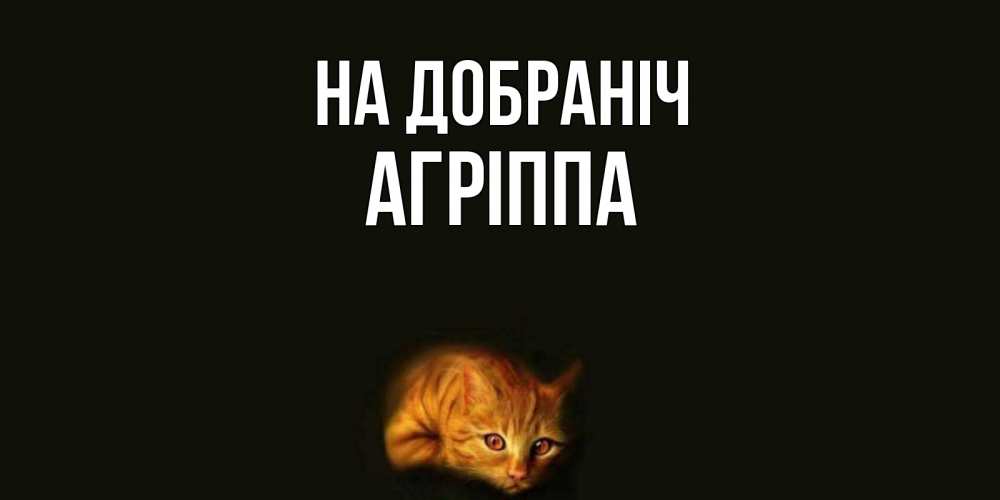 Открытка на каждый день з підписом, Агріппа На добраніч кот Прикольна листівка з побажанням онлайн скачати безкоштовно 
