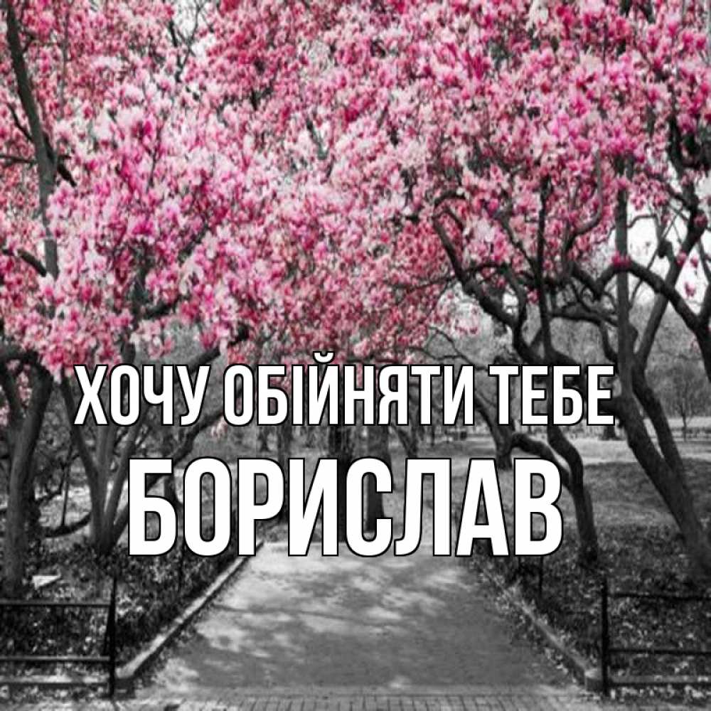 Открытка на каждый день з підписом, Борислав Хочу обійняти тебе обработанное фото Прикольна листівка з побажанням онлайн скачати безкоштовно 