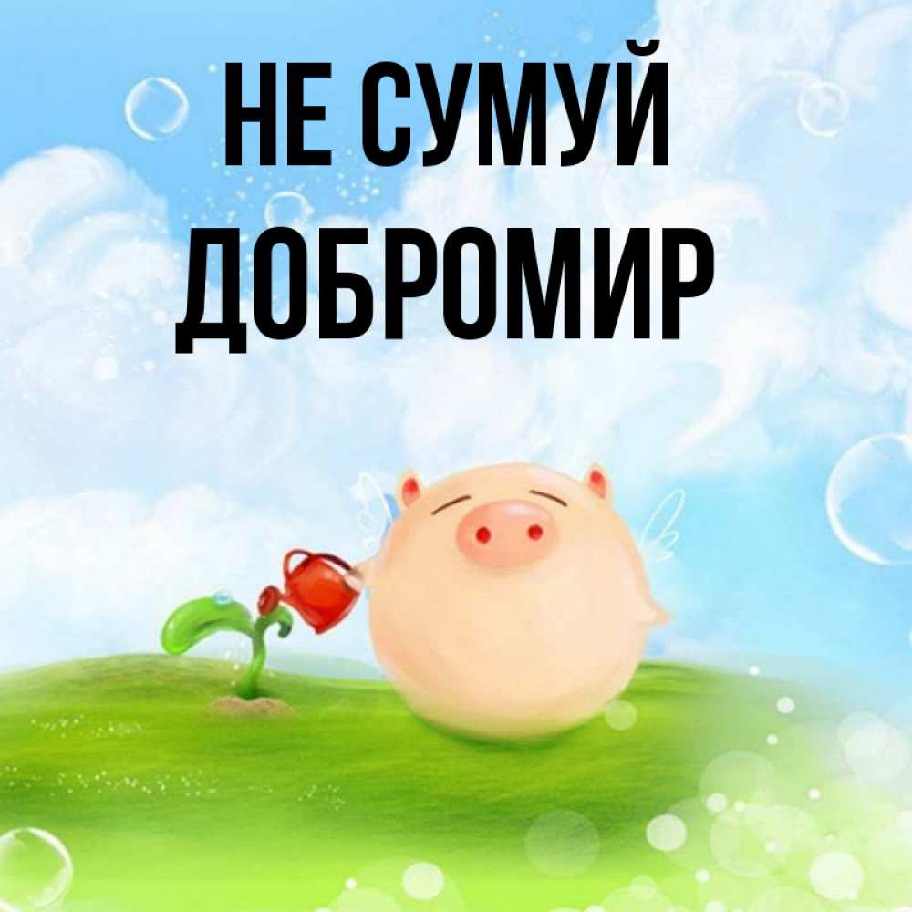 Открытка на каждый день з підписом, Добромир Не сумуй поливает цветок порося Прикольна листівка з побажанням онлайн скачати безкоштовно 