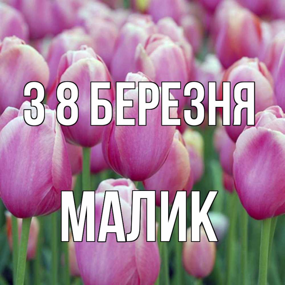 Открытка на каждый день з підписом, Малик З 8 БЕРЕЗНЯ на международный женский день 3 Прикольна листівка з побажанням онлайн скачати безкоштовно 