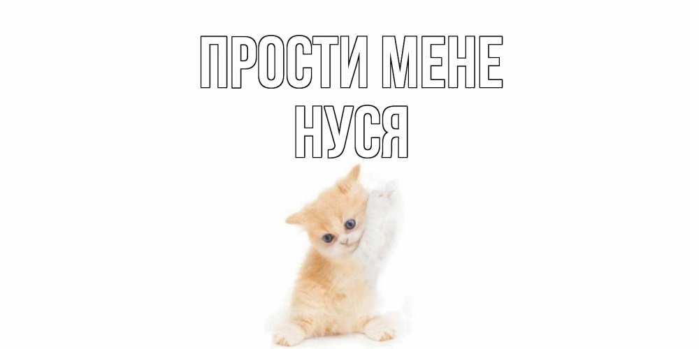 Открытка на каждый день з підписом, Нуся Прости мене кот Прикольна листівка з побажанням онлайн скачати безкоштовно 
