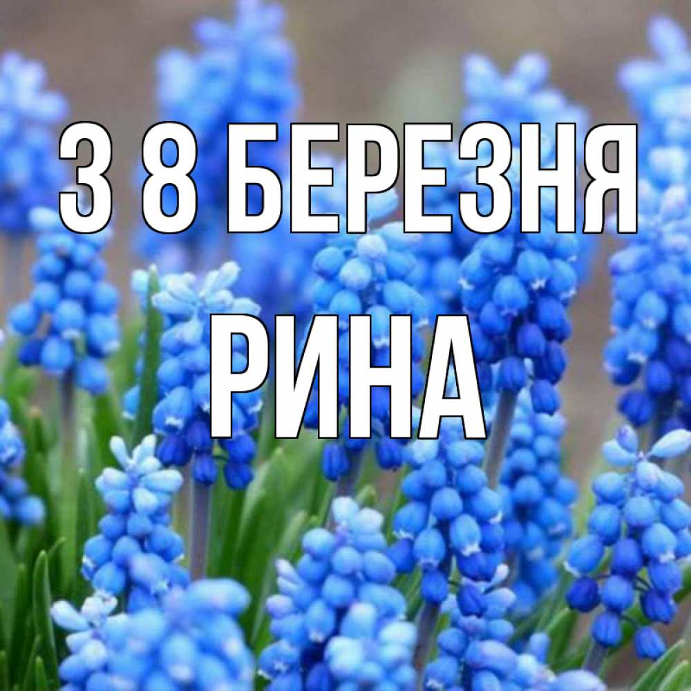 Открытка на каждый день з підписом, Рина З 8 БЕРЕЗНЯ Поздравительная открытка для женщин с цветами на праздничную дату Прикольна листівка з побажанням онлайн скачати безкоштовно 