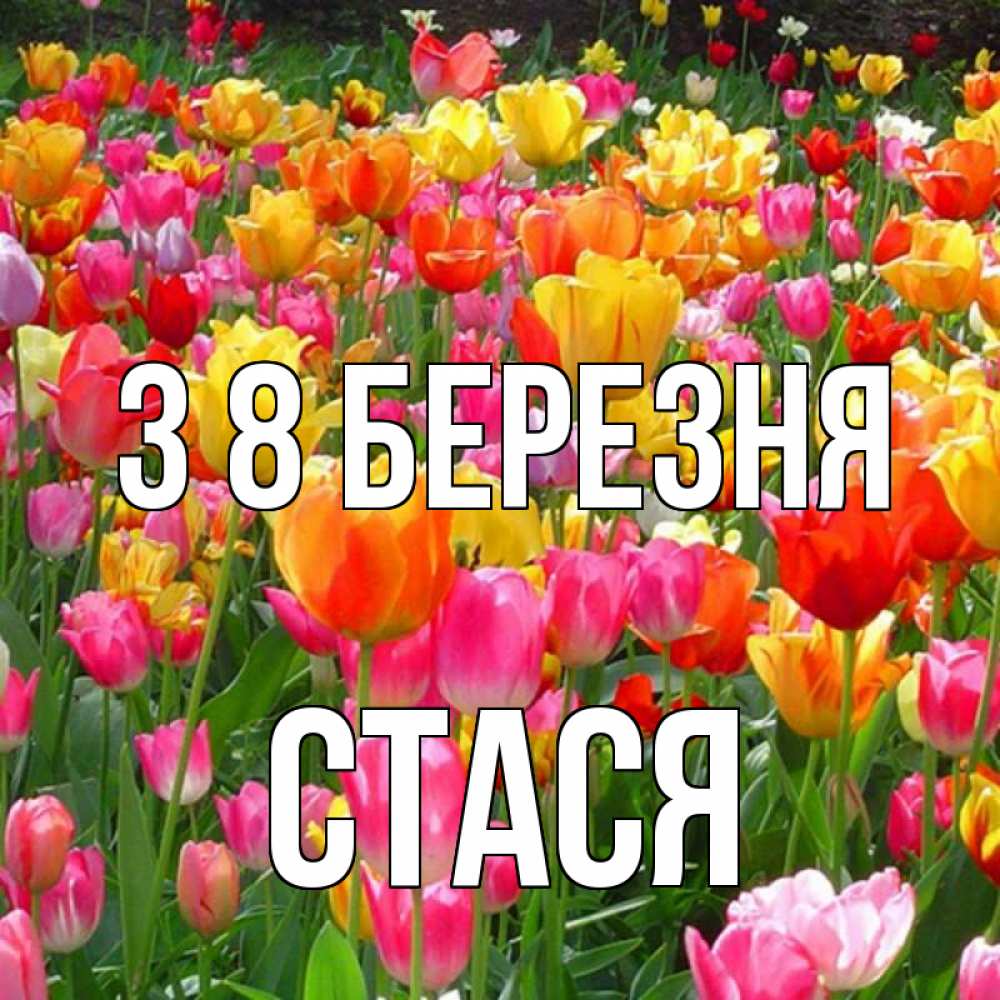 Открытка на каждый день з підписом, Стася З 8 БЕРЕЗНЯ на международный женский день Прикольна листівка з побажанням онлайн скачати безкоштовно 