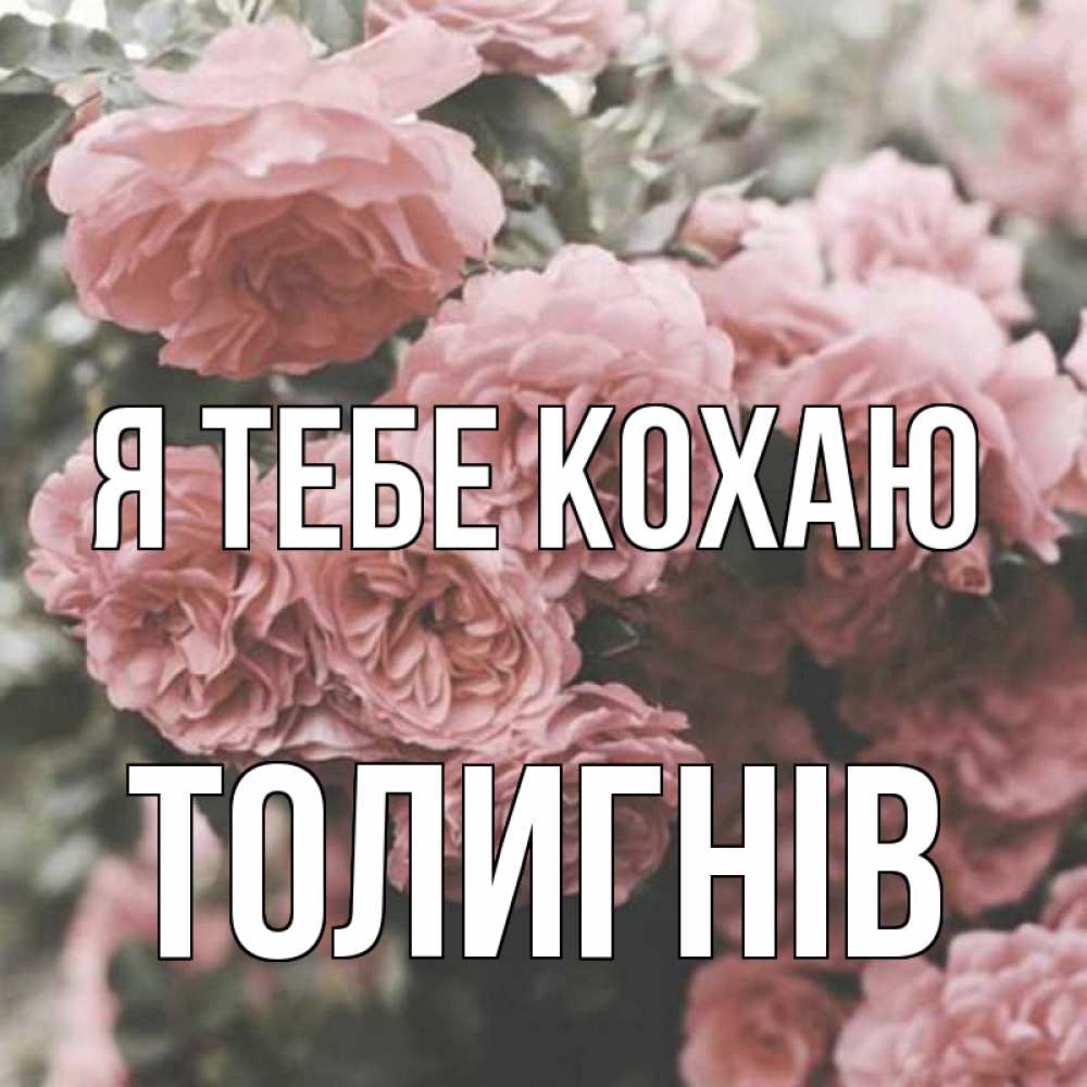 Открытка на каждый день з підписом, Толигнів Я тебе кохаю розы 3 Прикольна листівка з побажанням онлайн скачати безкоштовно 