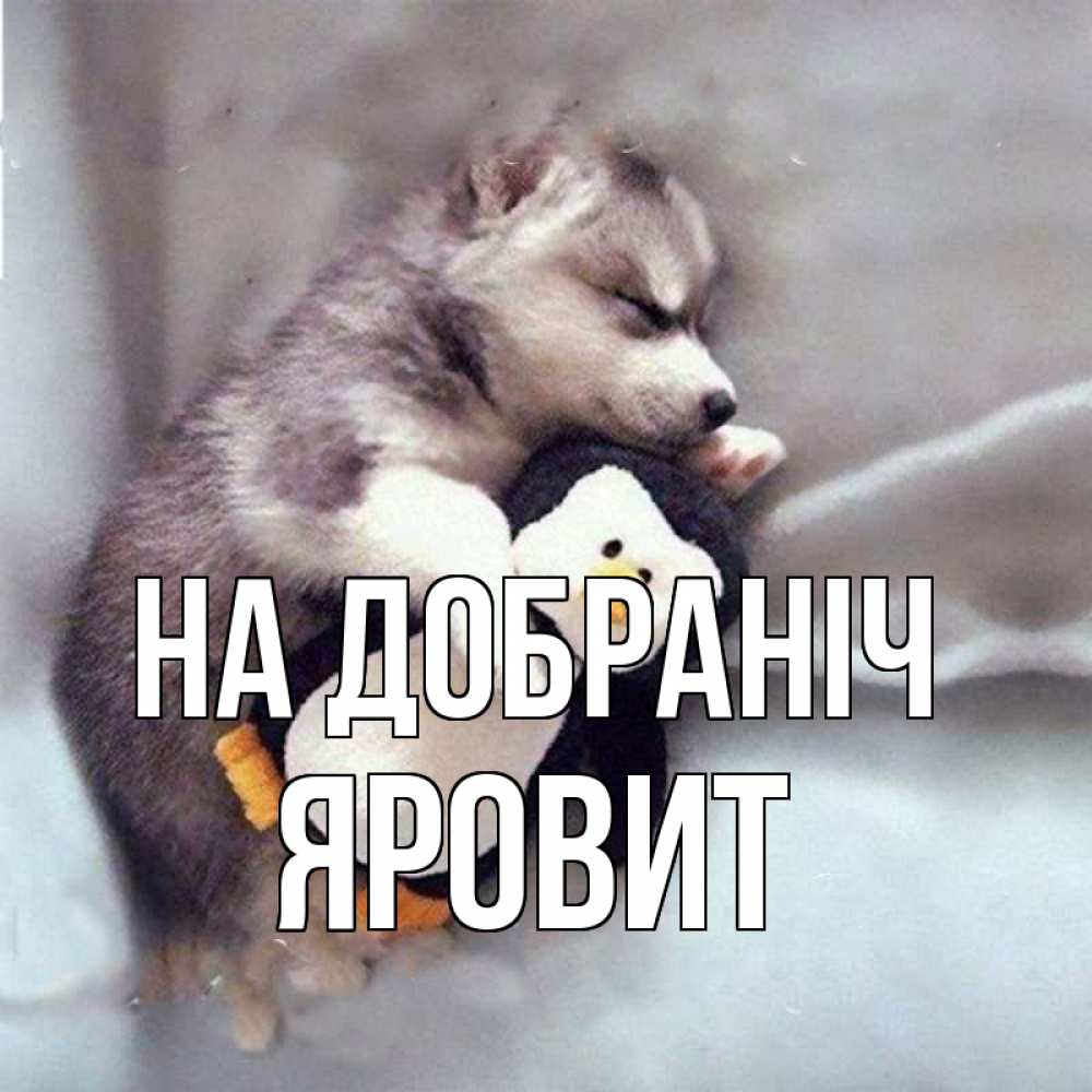Открытка на каждый день з підписом, Яровит На добраніч обнимашки щенка и пингвина Прикольна листівка з побажанням онлайн скачати безкоштовно 