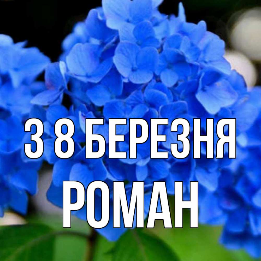 Открытка на каждый день з підписом, Роман З 8 БЕРЕЗНЯ синие цветы Прикольна листівка з побажанням онлайн скачати безкоштовно 