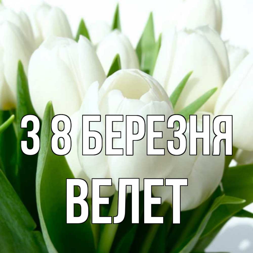 Открытка на каждый день з підписом, Велет З 8 БЕРЕЗНЯ цветы Прикольна листівка з побажанням онлайн скачати безкоштовно 