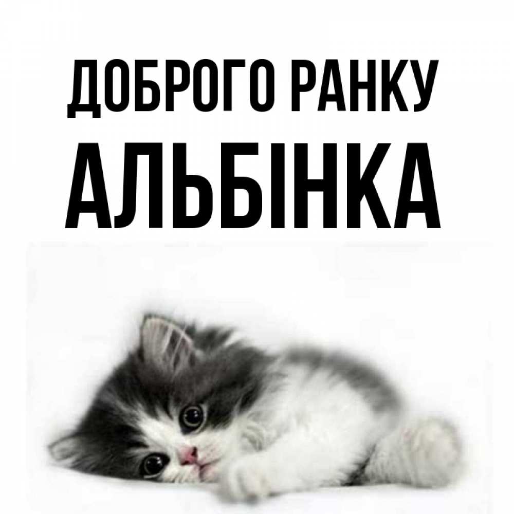 Открытка на каждый день з підписом, Альбінка Доброго ранку кот лапки Прикольна листівка з побажанням онлайн скачати безкоштовно 