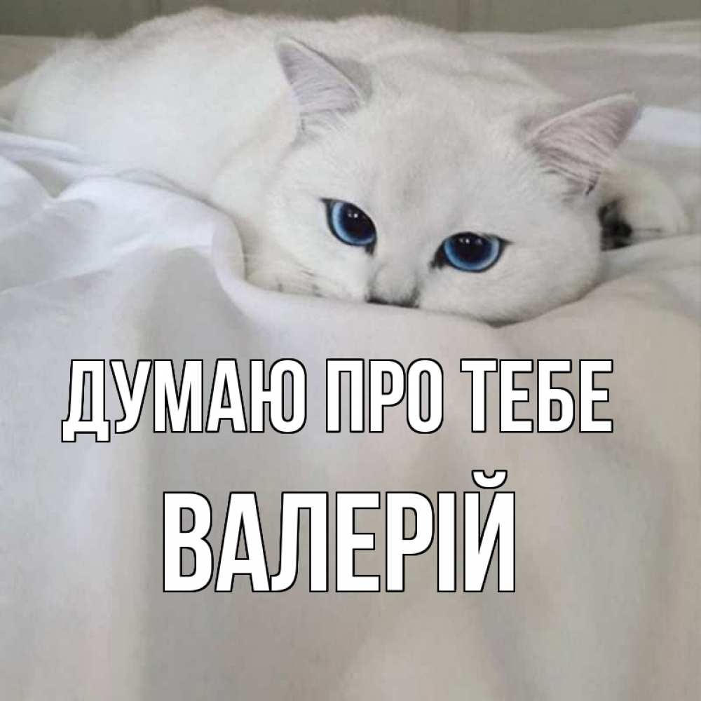 Открытка на каждый день з підписом, Валерій Думаю про тебе я очень по тебе скучаю и тоскую Прикольна листівка з побажанням онлайн скачати безкоштовно 