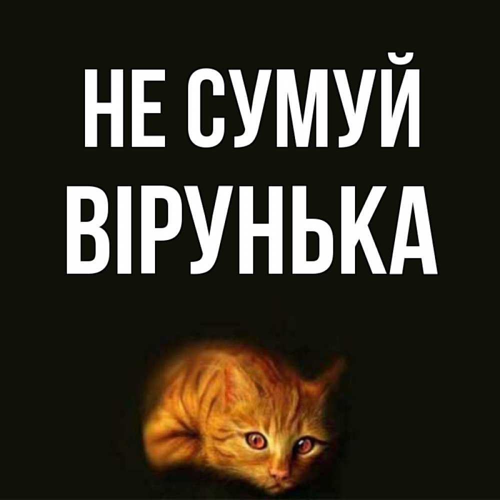 Открытка на каждый день з підписом, Вірунька Не сумуй лежащий кот в темноте Прикольна листівка з побажанням онлайн скачати безкоштовно 