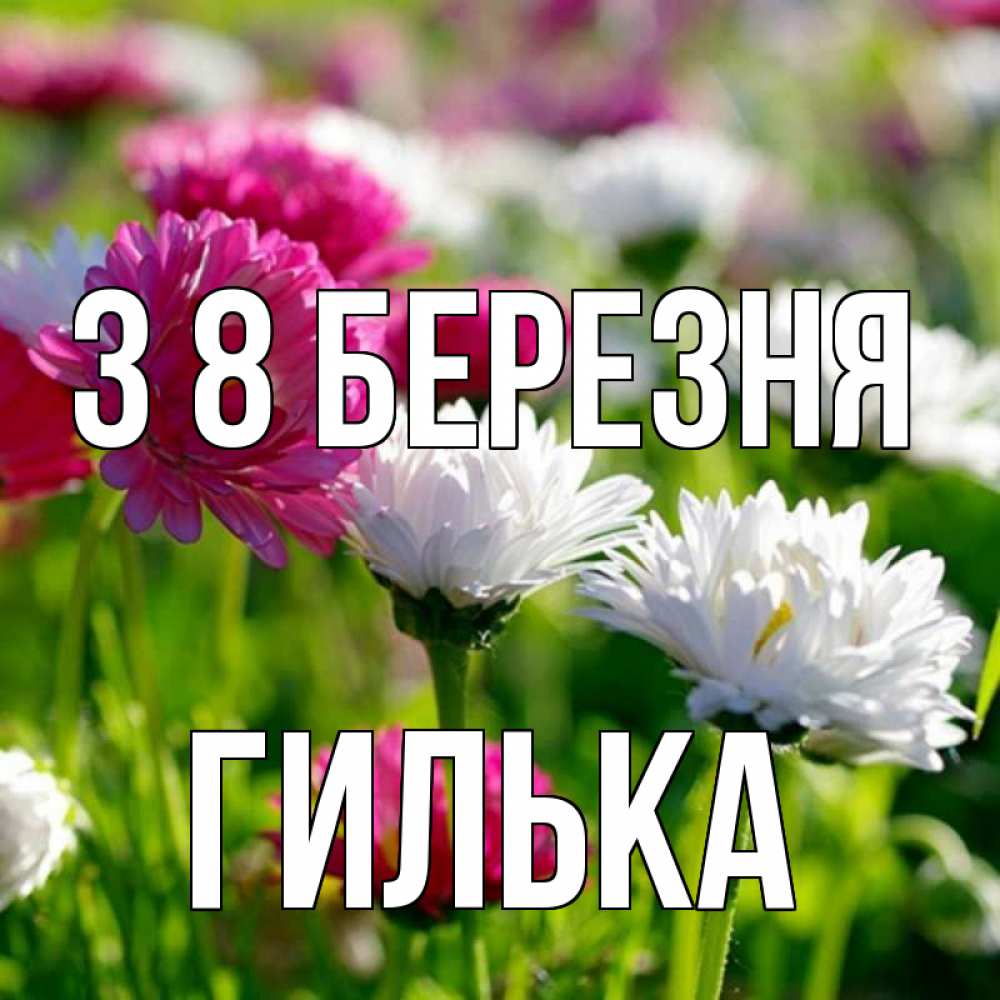 Открытка на каждый день з підписом, Гилька З 8 БЕРЕЗНЯ международный женский день 1 Прикольна листівка з побажанням онлайн скачати безкоштовно 