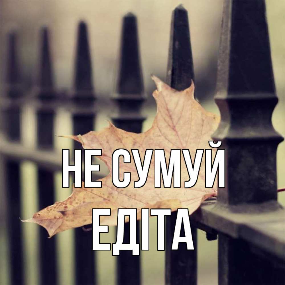 Открытка на каждый день з підписом, Едіта Не сумуй лист клена Прикольна листівка з побажанням онлайн скачати безкоштовно 
