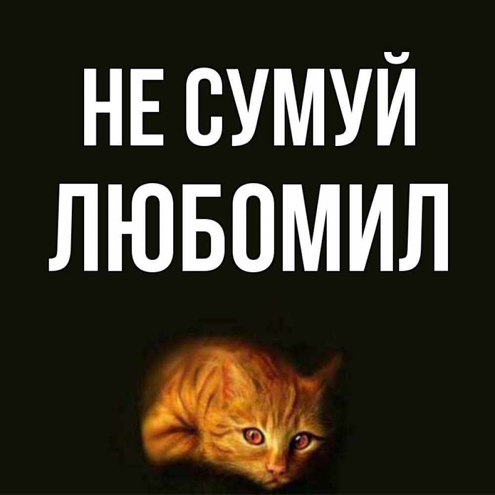 Открытка на каждый день з підписом, Любомил Не сумуй лежащий кот в темноте Прикольна листівка з побажанням онлайн скачати безкоштовно 