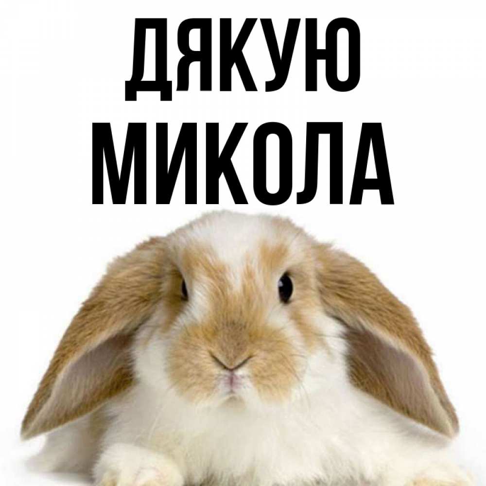 Открытка на каждый день з підписом, Микола Дякую коричнево белый заяц Прикольна листівка з побажанням онлайн скачати безкоштовно 