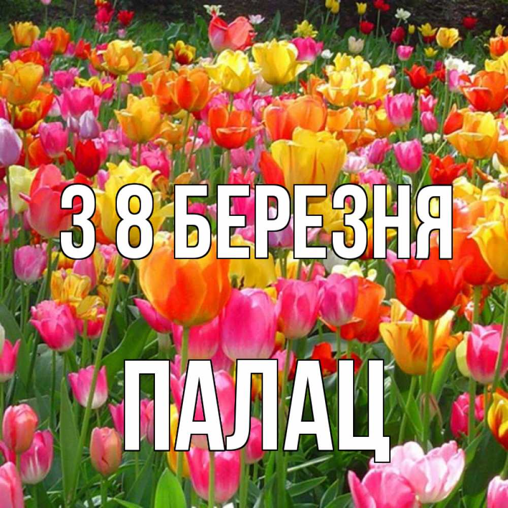 Открытка на каждый день з підписом, Палац З 8 БЕРЕЗНЯ на международный женский день Прикольна листівка з побажанням онлайн скачати безкоштовно 