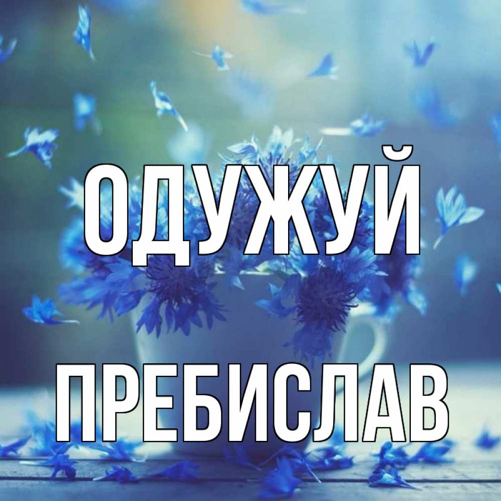 Открытка на каждый день з підписом, Пребислав Одужуй кружка с зельем и цветами Прикольна листівка з побажанням онлайн скачати безкоштовно 