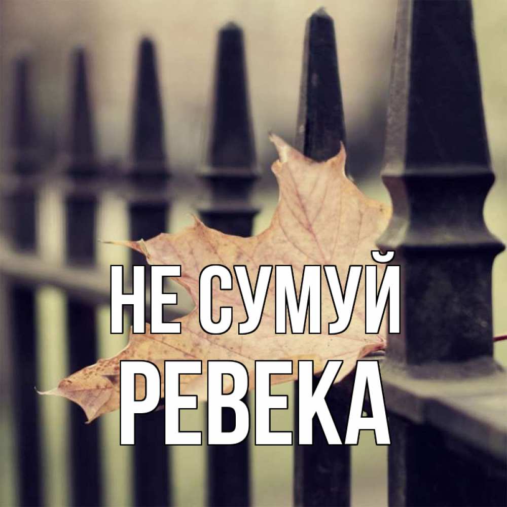 Открытка на каждый день з підписом, Ревека Не сумуй лист клена Прикольна листівка з побажанням онлайн скачати безкоштовно 