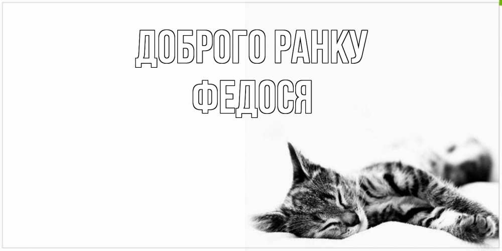 Открытка на каждый день з підписом, Федося Доброго ранку котуся Прикольна листівка з побажанням онлайн скачати безкоштовно 