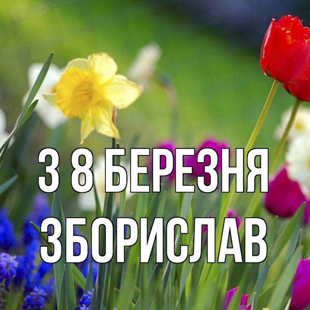 Открытка на каждый день з підписом, Зборислав З 8 БЕРЕЗНЯ международный женский день 3 Прикольна листівка з побажанням онлайн скачати безкоштовно 