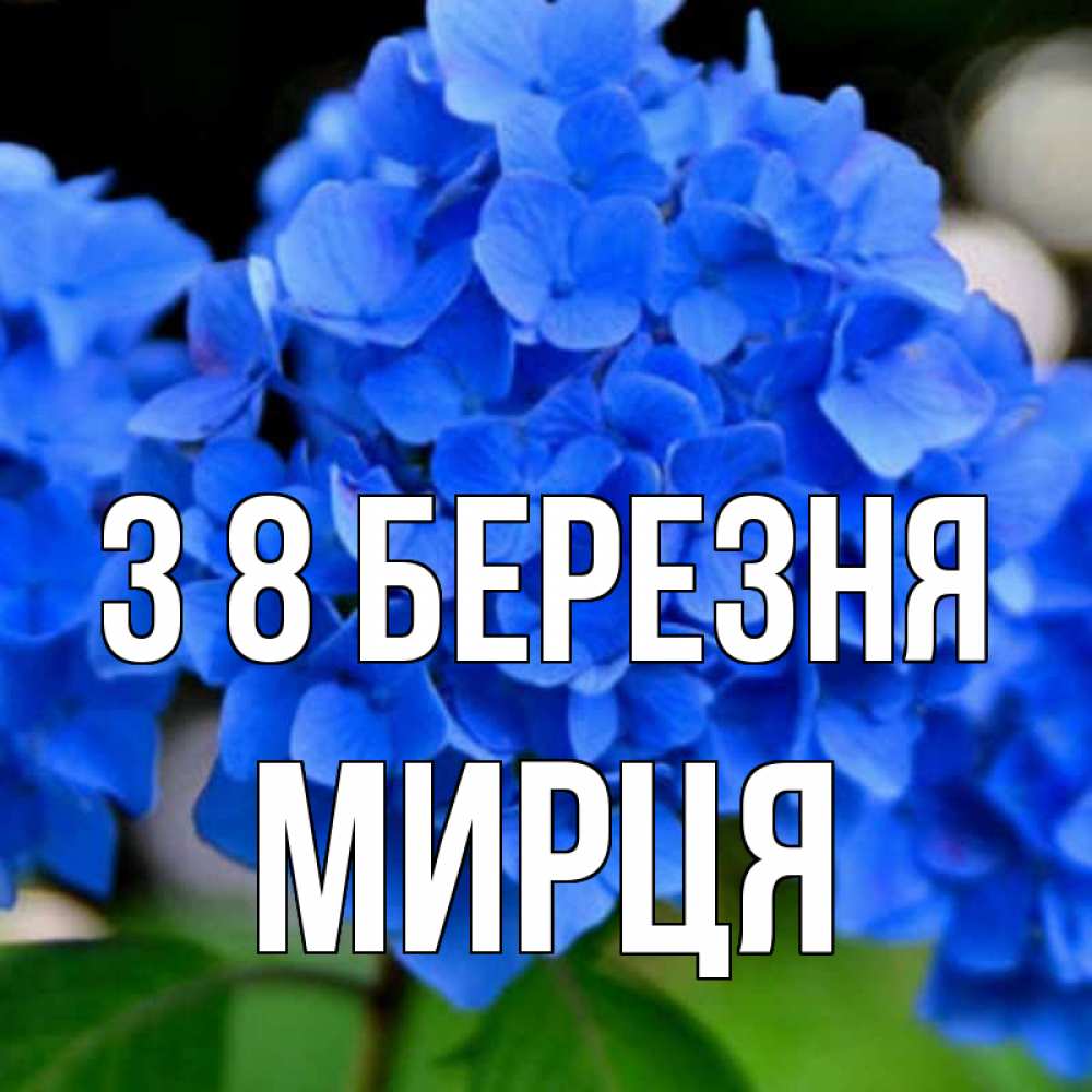 Открытка на каждый день з підписом, Мирця З 8 БЕРЕЗНЯ синие цветы Прикольна листівка з побажанням онлайн скачати безкоштовно 
