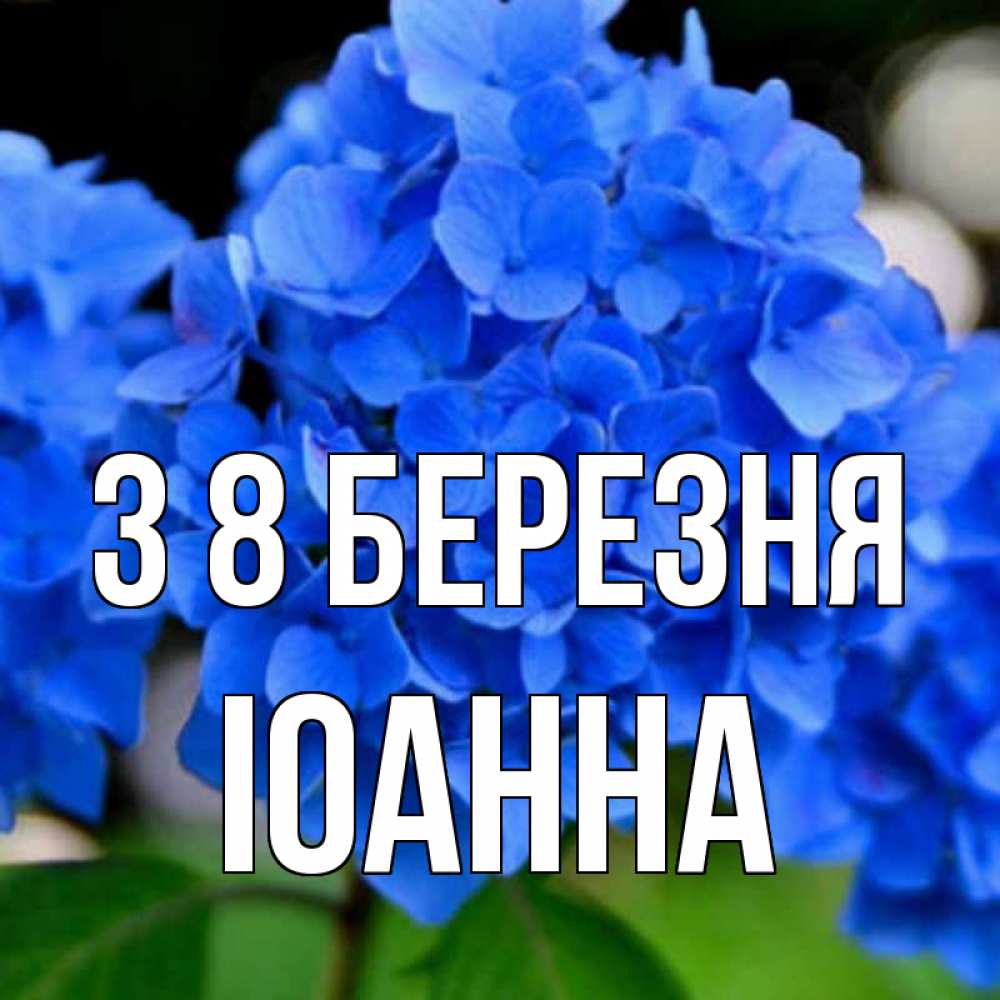 Открытка на каждый день з підписом, Іоанна З 8 БЕРЕЗНЯ синие цветы Прикольна листівка з побажанням онлайн скачати безкоштовно 