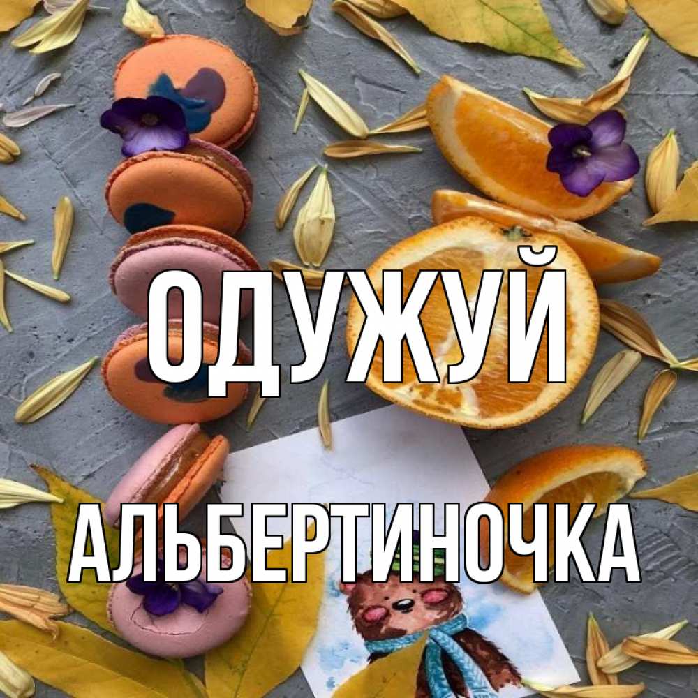 Открытка на каждый день з підписом, Альбертиночка Одужуй не болейте Прикольна листівка з побажанням онлайн скачати безкоштовно 