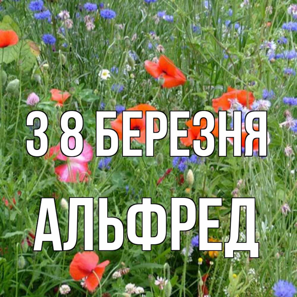 Открытка на каждый день з підписом, Альфред З 8 БЕРЕЗНЯ международный женский день 4 Прикольна листівка з побажанням онлайн скачати безкоштовно 