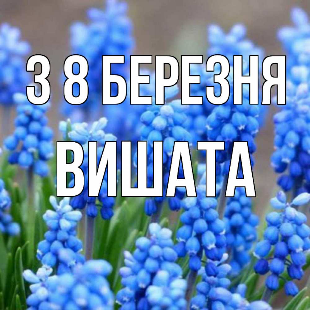 Открытка на каждый день з підписом, Вишата З 8 БЕРЕЗНЯ Поздравительная открытка для женщин с цветами на праздничную дату Прикольна листівка з побажанням онлайн скачати безкоштовно 