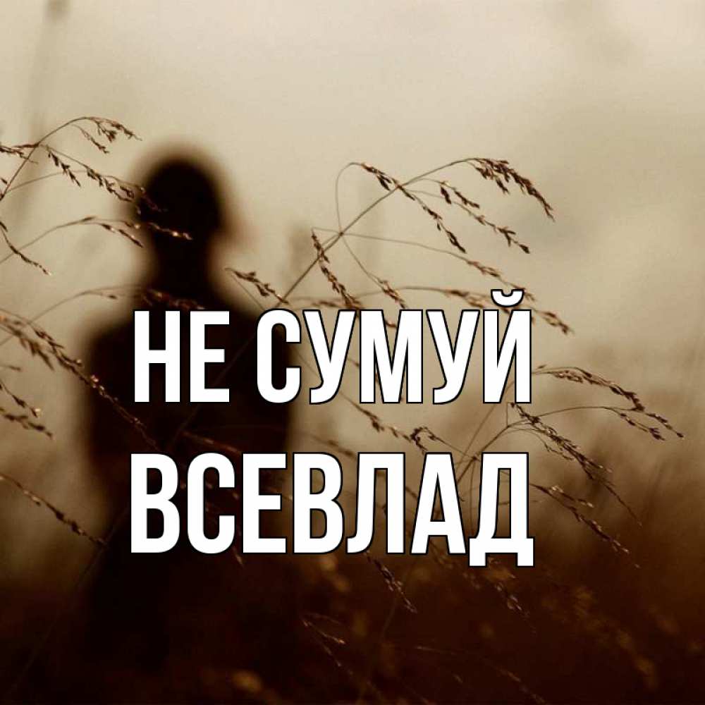 Открытка на каждый день з підписом, Всевлад Не сумуй грусть Прикольна листівка з побажанням онлайн скачати безкоштовно 