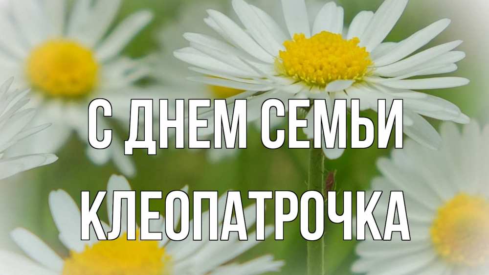 Открытка на каждый день з підписом, Клеопатрочка С днем семьи с днем семьи  1 Прикольна листівка з побажанням онлайн скачати безкоштовно 