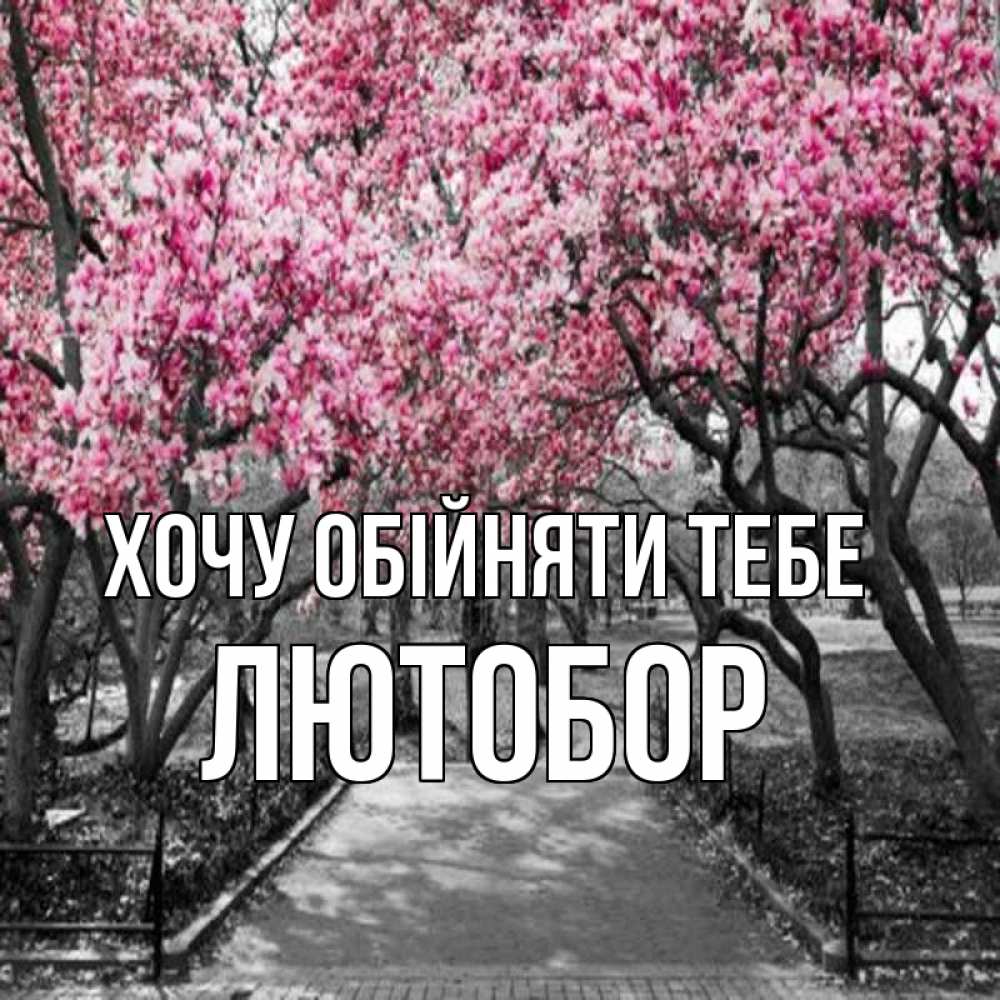 Открытка на каждый день з підписом, Лютобор Хочу обійняти тебе обработанное фото Прикольна листівка з побажанням онлайн скачати безкоштовно 