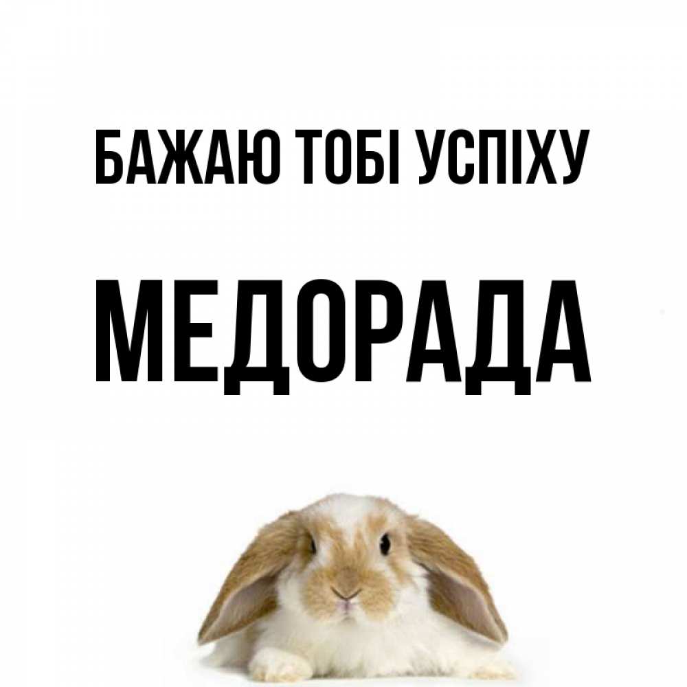 Открытка на каждый день з підписом, Медорада Бажаю тобі успіху открытки с произвольным текстом который можно вставить в открытку и создать ее самостоятельно бесплатно онлайн Прикольна листівка з побажанням онлайн скачати безкоштовно 