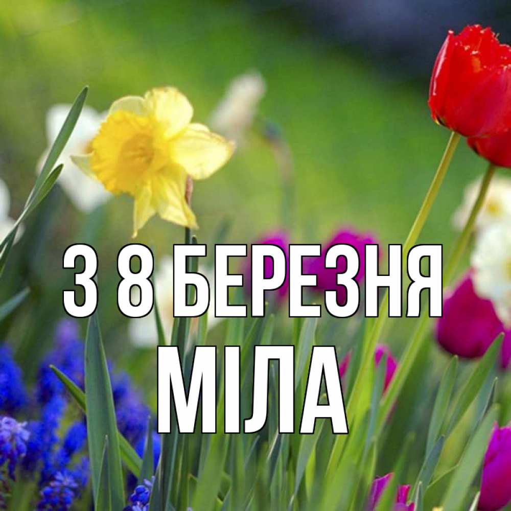 Открытка на каждый день з підписом, Міла З 8 БЕРЕЗНЯ международный женский день 3 Прикольна листівка з побажанням онлайн скачати безкоштовно 