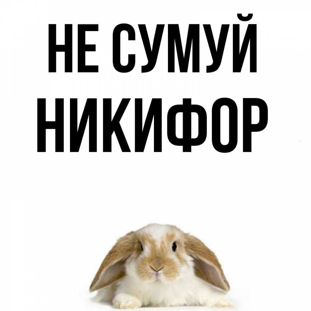 Открытка на каждый день з підписом, Никифор Не сумуй коричнево белый заяц с большими ушками Прикольна листівка з побажанням онлайн скачати безкоштовно 