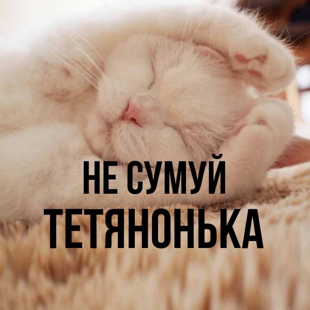 Открытка на каждый день з підписом, Тетянонька Не сумуй Котенок спит Прикольна листівка з побажанням онлайн скачати безкоштовно 