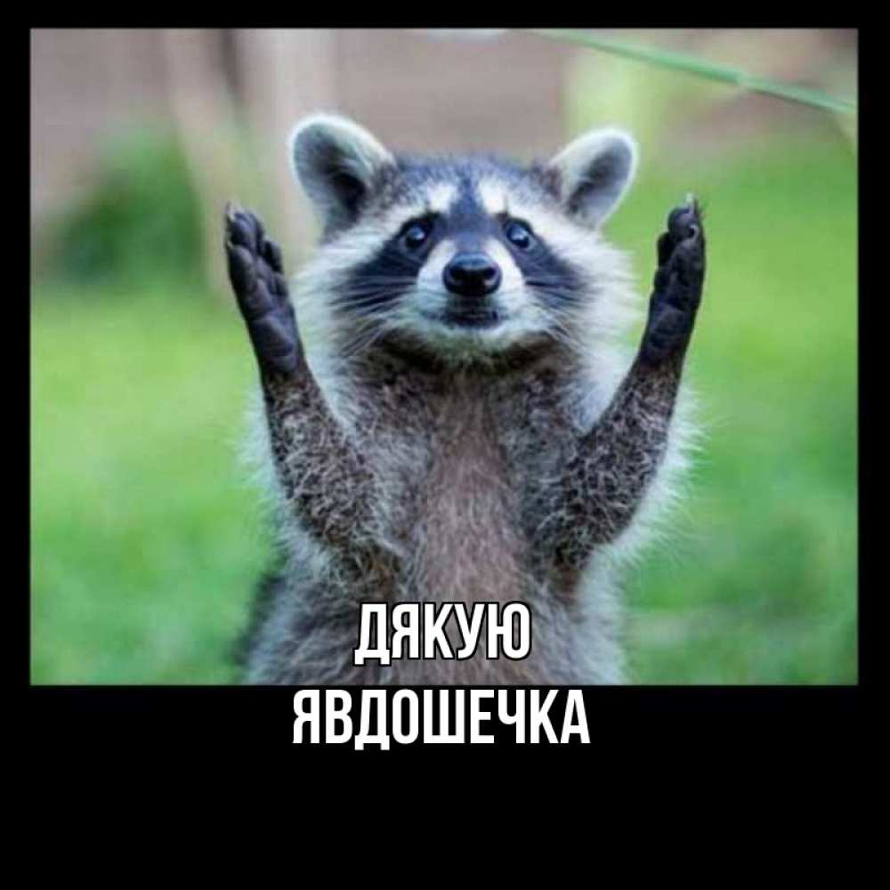 Открытка на каждый день з підписом, Явдошечка Дякую милые животные Прикольна листівка з побажанням онлайн скачати безкоштовно 