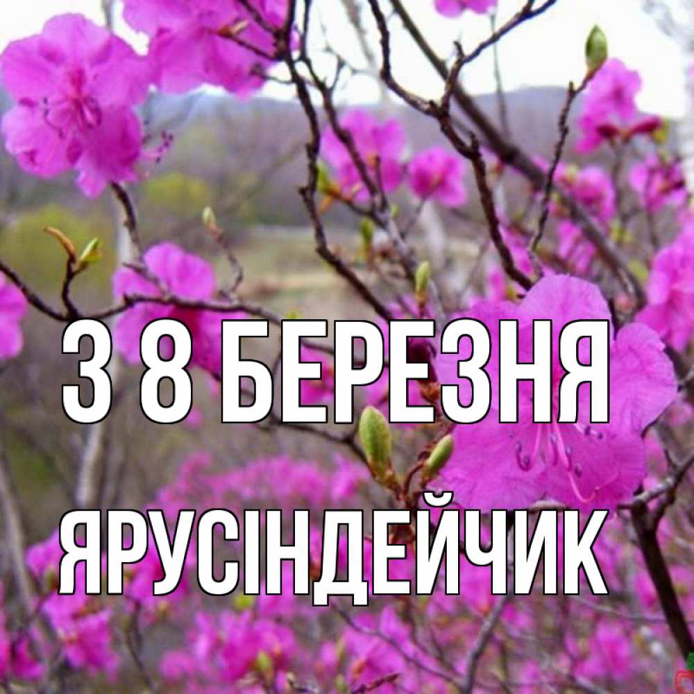 Открытка на каждый день з підписом, Ярусіндейчик З 8 БЕРЕЗНЯ международный женский день Прикольна листівка з побажанням онлайн скачати безкоштовно 