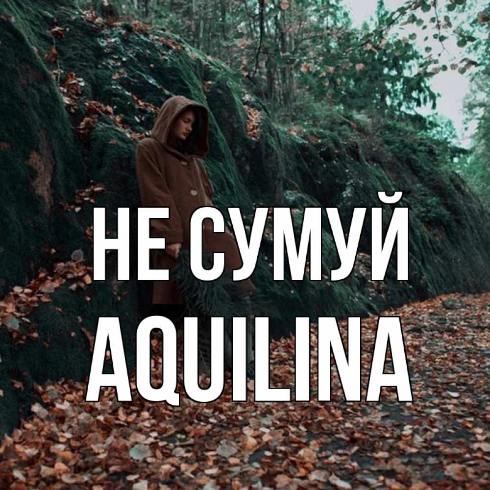 Открытка на каждый день з підписом, Aquilina Не сумуй осенний лес Прикольна листівка з побажанням онлайн скачати безкоштовно 
