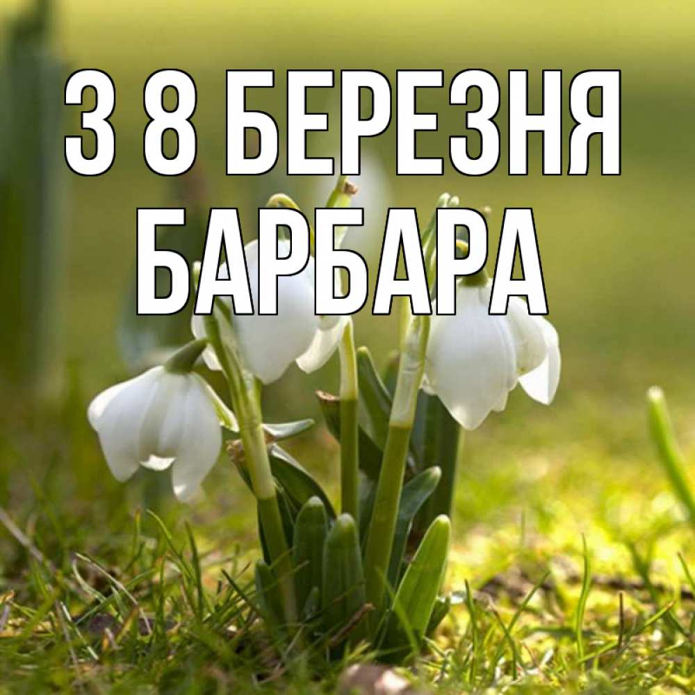 Открытка на каждый день з підписом, Барбара З 8 БЕРЕЗНЯ ранние цветы 2 Прикольна листівка з побажанням онлайн скачати безкоштовно 