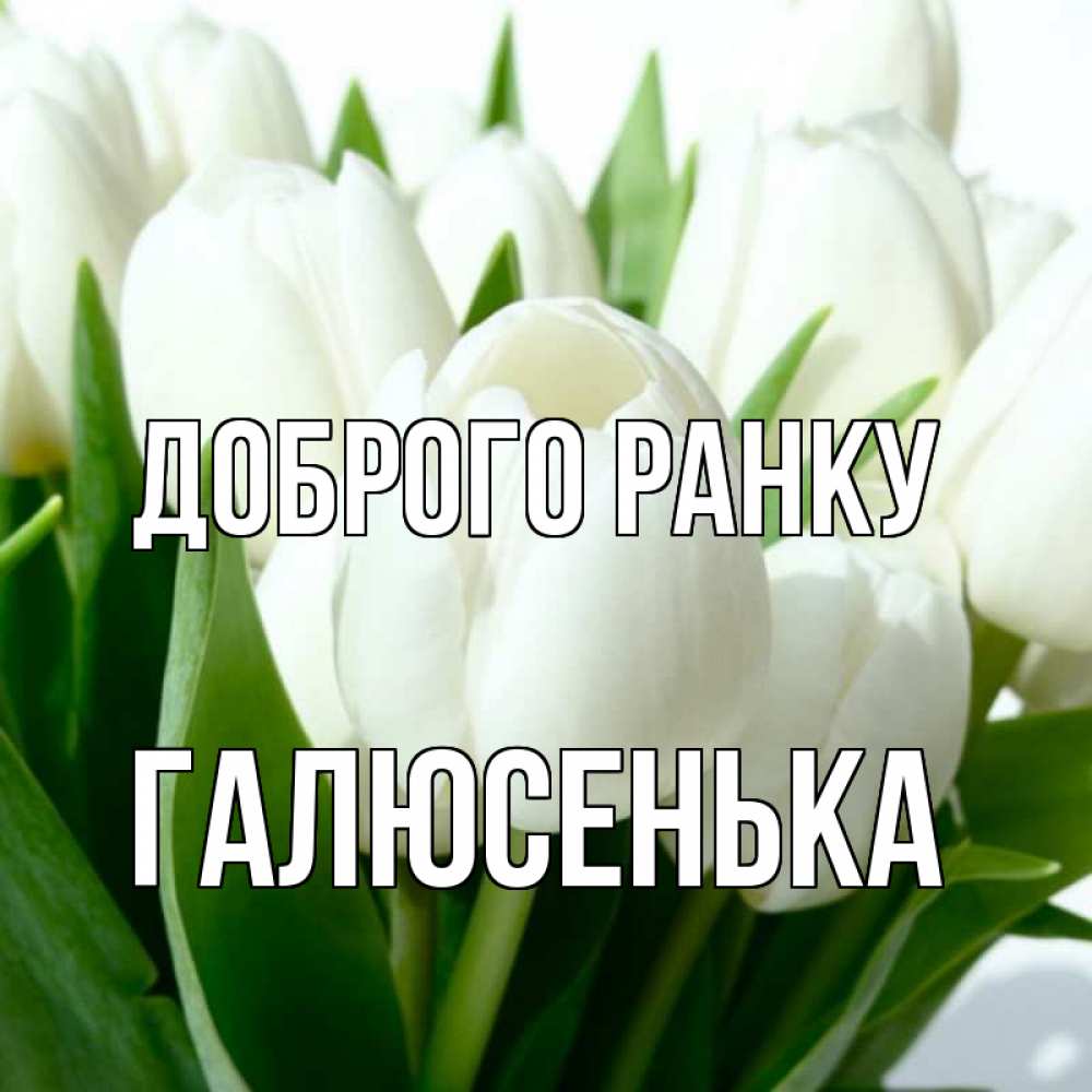 Открытка на каждый день з підписом, Галюсенька Доброго ранку открытки на каждый день по именам Прикольна листівка з побажанням онлайн скачати безкоштовно 