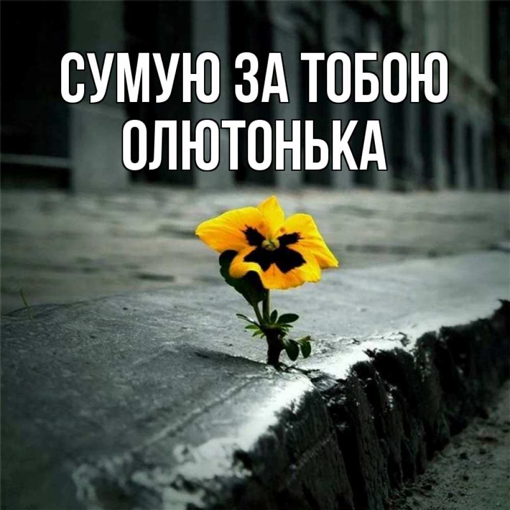 Открытка на каждый день з підписом, Олютонька Сумую за тобою надеюсь будет лучше Прикольна листівка з побажанням онлайн скачати безкоштовно 