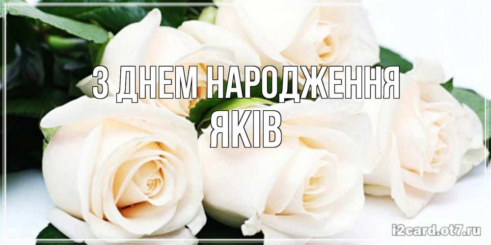 Открытка на каждый день з підписом, Яків З Днем народження открытка с красивыми белыми розами для родных Прикольна листівка з побажанням онлайн скачати безкоштовно 