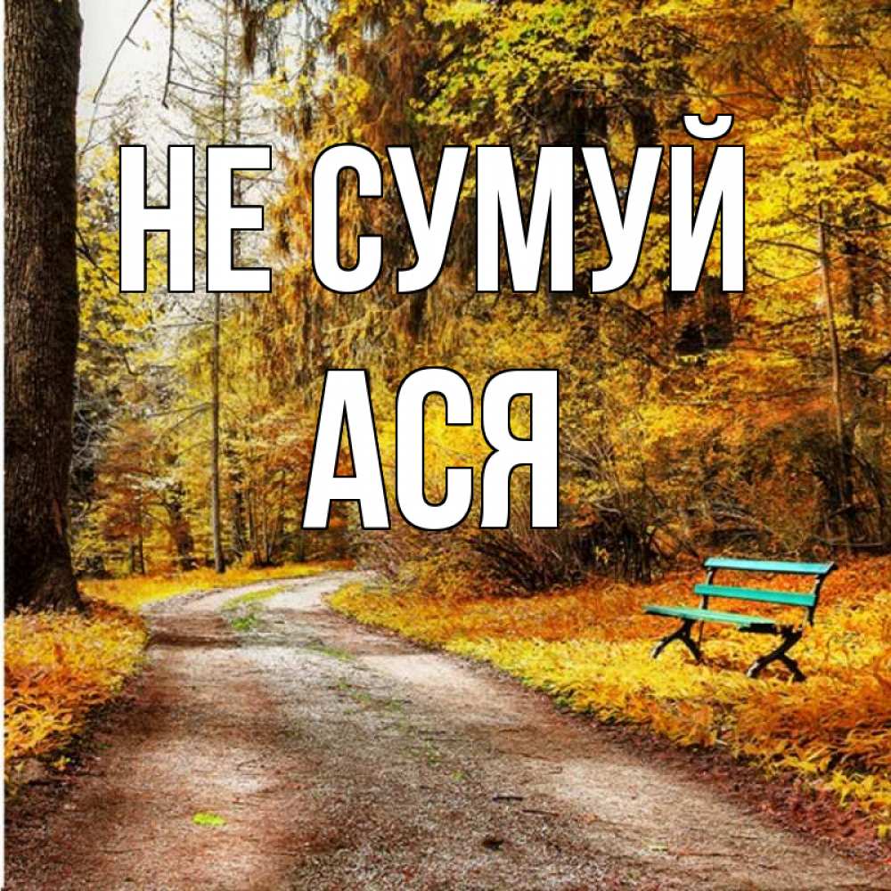 Открытка на каждый день з підписом, Ася Не сумуй зеленая лавочка Прикольна листівка з побажанням онлайн скачати безкоштовно 