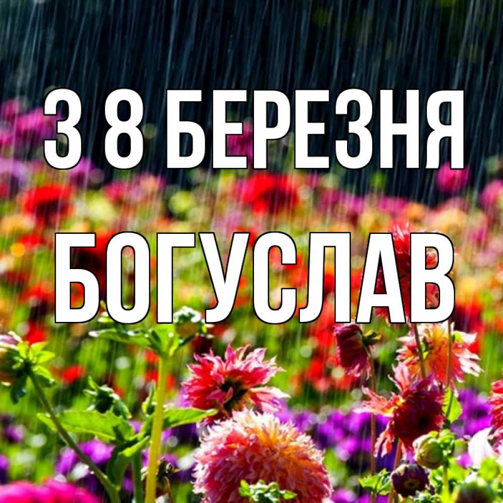 Открытка на каждый день з підписом, Богуслав З 8 БЕРЕЗНЯ цветы под дождиком к международному женскому дню Прикольна листівка з побажанням онлайн скачати безкоштовно 